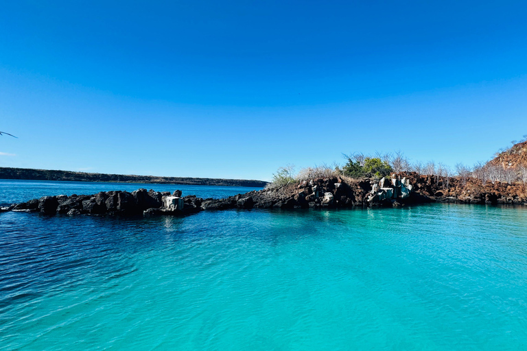 North Santa Cruz - Kayak, SUP, Snorkel and Relax - Galápagos Galapagos Islands: Punta Carrion Kayak - Sup & Snorkel Tour