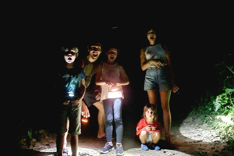 Khao Sok: Half-Day & Night Wildlife Trek and Jungle Dinner Option 6: Half-Day & Night Trek with Dinner From Khao Lak