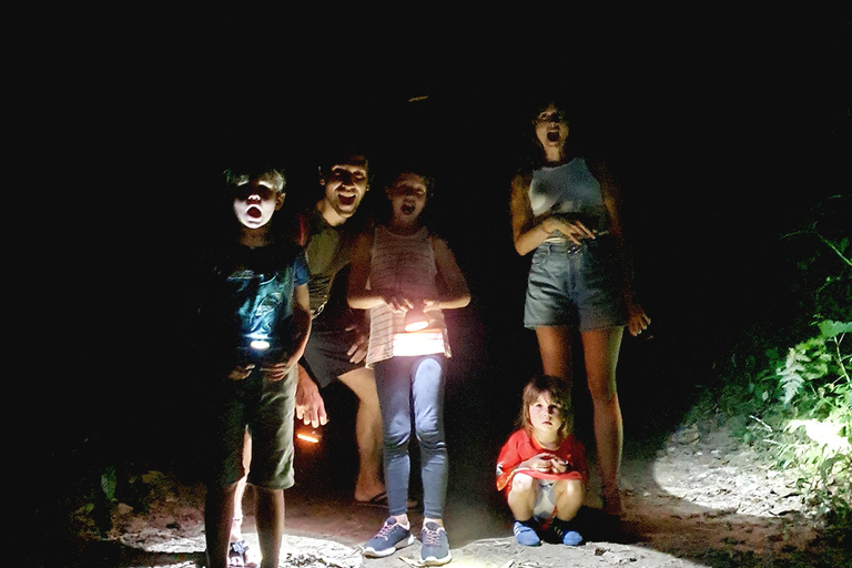 Khao Sok: Half-Day & Night Wildlife Trek and Jungle Dinner Option 6: Half-Day & Night Trek with Dinner From Khao Lak