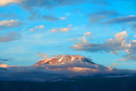 Kilimanjaro: 6-Day Machame Route Tour with Hotel & Transfer