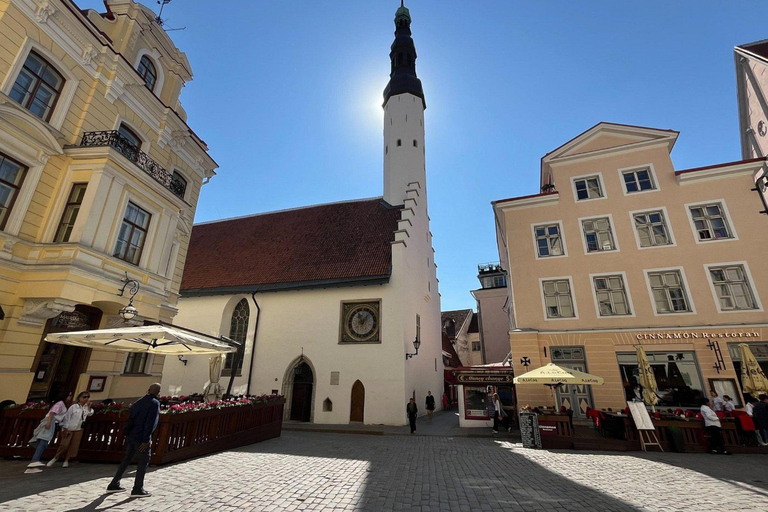 Tallinn Day Tour: Old Town Legends, Lunch & Modern Sights