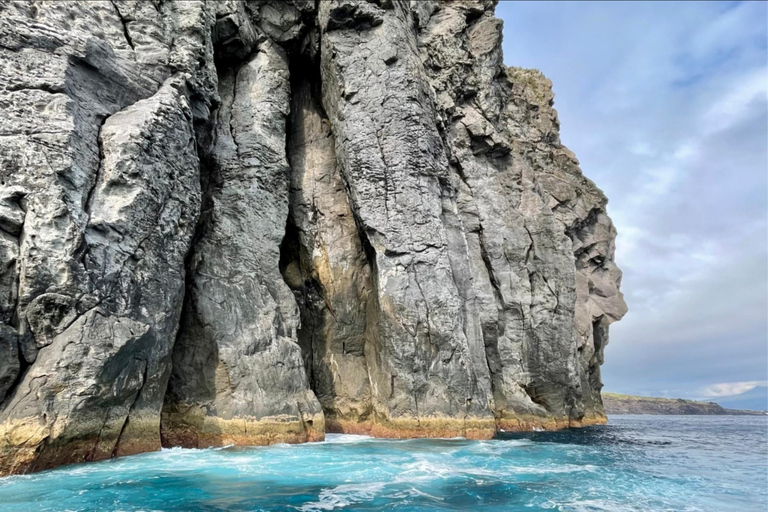 Isla de Faial: Tour en barco único al volcán Capelinhos