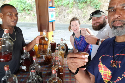 Experiência em Soufriere: Banho de lama, Cachoeira, Pitons, Baía de Marigot.