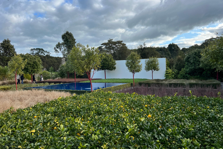GROTTES DE RUAKURI ET JARDINS DE HAMILTON - Excursion d&#039;une journée au départ d&#039;AucklandGROTTES DE RUAKURI ET JARDINS HAMILTON - Excursion d&#039;une journée au départ d&#039;Auckland
