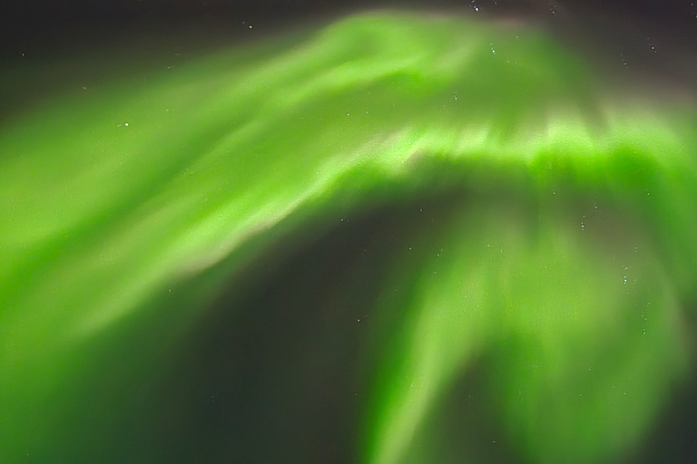 Abisko: Aurora Night & Swedish Glögg - Snowshoe Experience