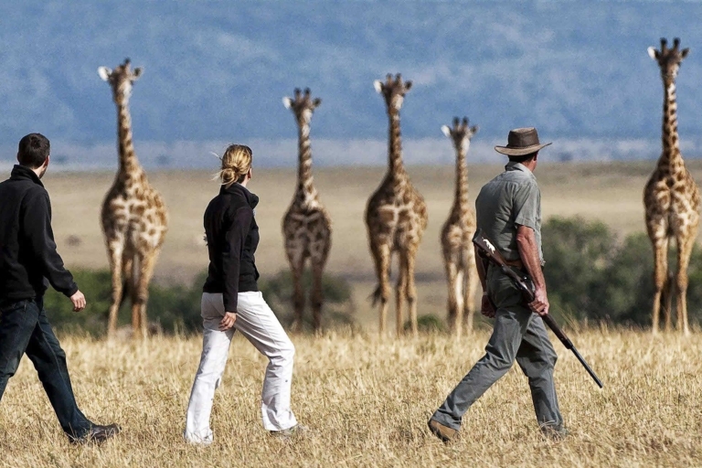 2 Wochen Tansania-Reise: 8 Tage Lemosho, Safari und Kultur.8 Tage klassische Lemosho-Route, Safari und kulturelles Erlebnis