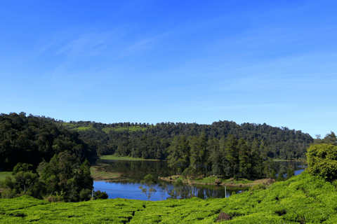 Jakarta : Circuit des lacs du cratère blanc volcanique et des plantations de thé