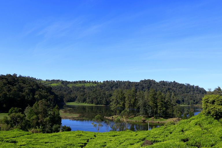 Jakarta : Circuit des lacs du cratère blanc volcanique et des plantations de thé