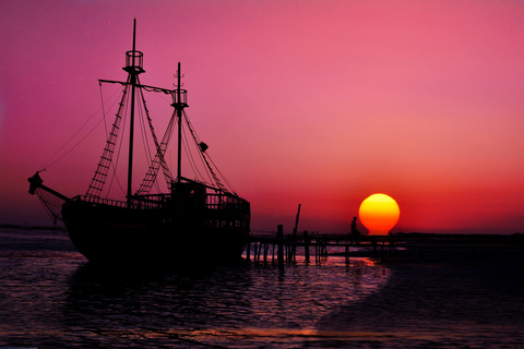 Djerba: Pirate Boat Trip with Dolphin and Flamingo Watching