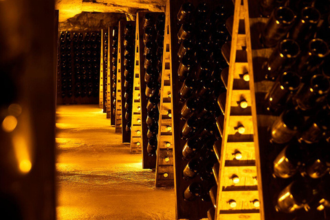 Château-Thierry: Belleau Wood & tour of a Champagne Cave