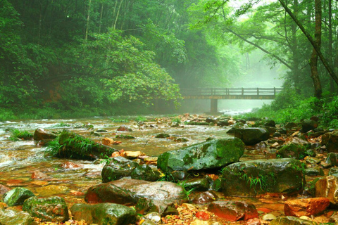 Zhangjiajie: Avatar Forest Park Group Tour or Ticket Big Group Tour with English Guide & Entry Ticket (11-16 ppl)