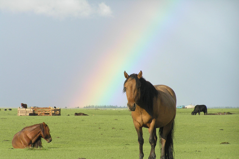 Excursion d&#039;une journée à Terelj avec déjeuner, équitation et plus...