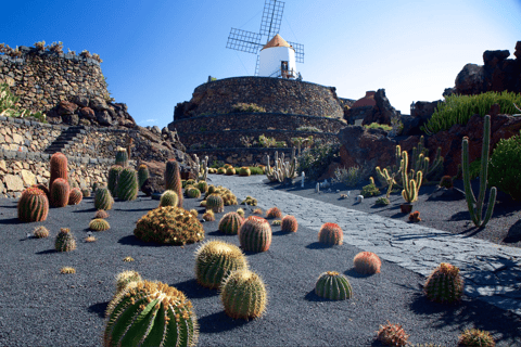 Lanzarote: 4x4 Volcanic North Landscapes Adventure