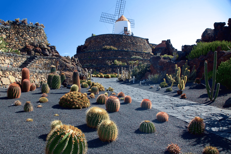 Lanzarote: 4x4 Volcanic North Landscapes Adventure