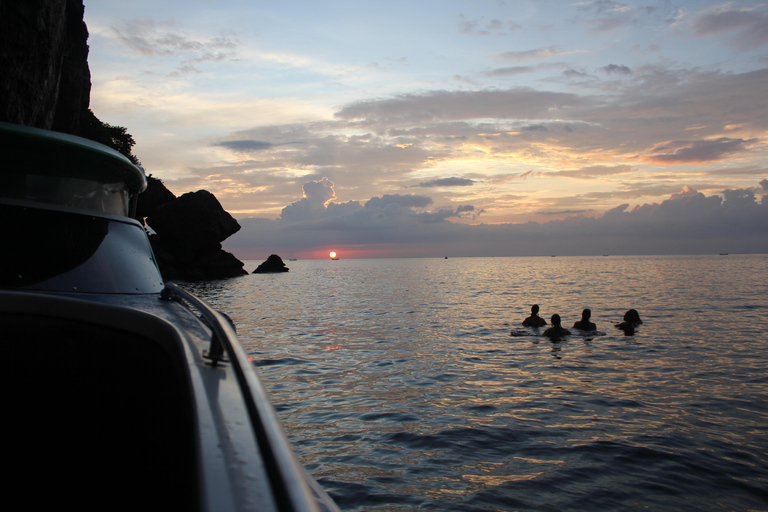 Ko Phi Phi Don: Speedboot dagtrip met snorkelen met haaien