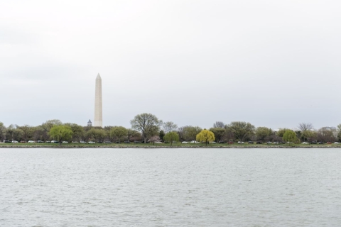 Washington DC: Pase ilimitado de 1 ó 2 días para taxi acuáticoPase de un día para el taxi acuático