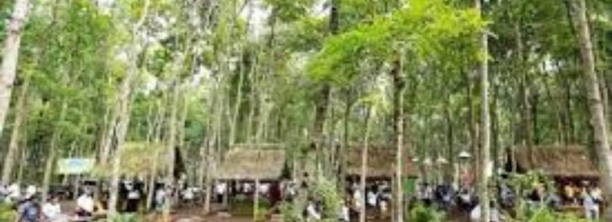 Banyuwangi : aventure en train et visite culturelle à Kalibaru