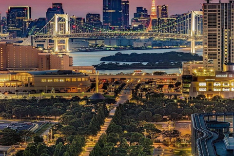 Tokyo Private Full-Day Customizable Tour with English Guide