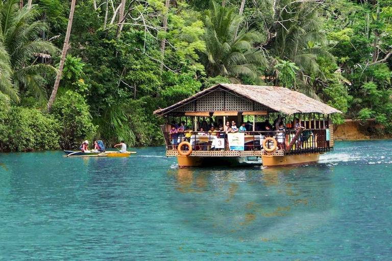 Bohol: Premium Chocolate Hills, Tarsiers &amp; River Experience