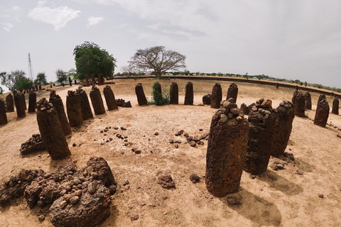 Dakar, Niokolo Koba, Kedougou i safari wodospadów: 4 dni/3 noce