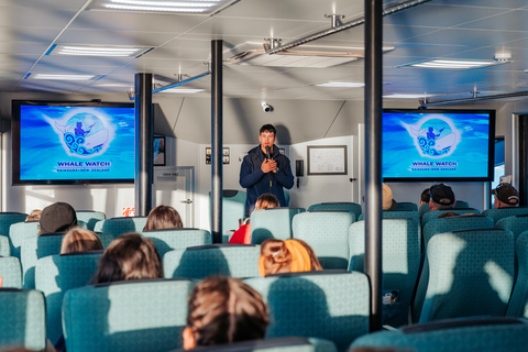 Kaikoura: Whale Watching Cruise 12:45 PM Departure