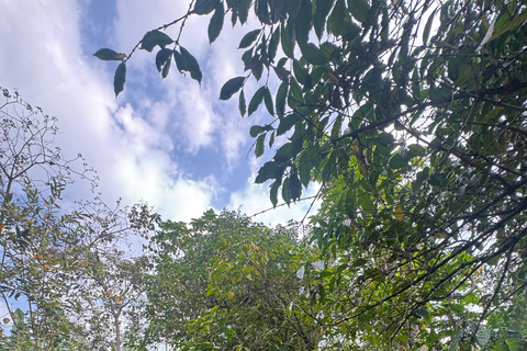 Addis Abeba: 6-dniowa wycieczka po jeziorach Rift Valley z posiłkami