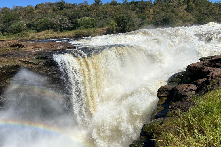 Murchison falls; 3days midrange tour to murchison falls