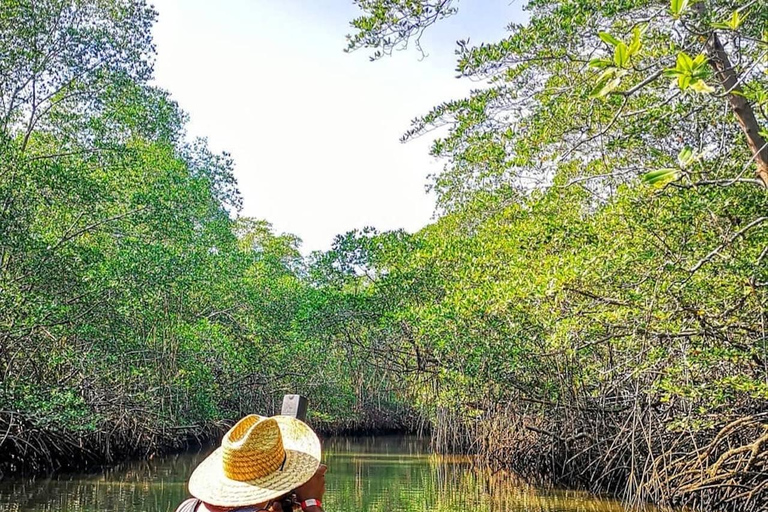 Turtle Night Tour in Isla Cañas