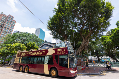 Hong Kong : pont d&#039;observation du sky100 et bus à arrêts multiples (Hop-on, Hop-off Bus)