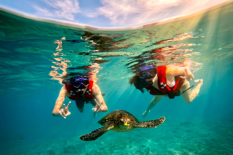 Mirissa Guided Snorkeling Tour with Sea Turtle & Coral Reef