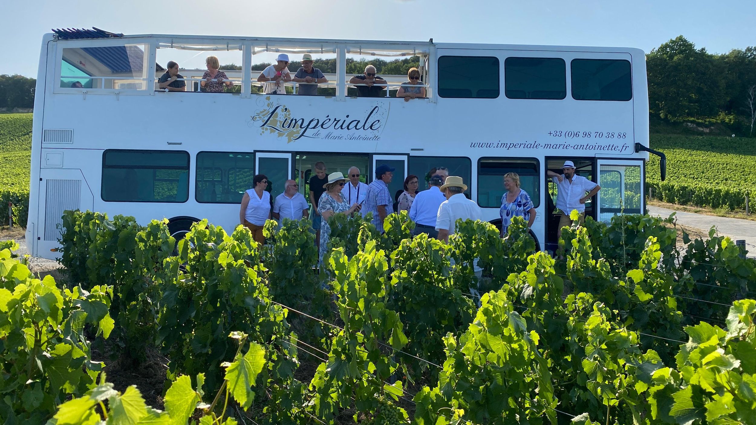 Épernay: Private Fahrt mit dem Imperial Bus durch die Weinberge der Champagne