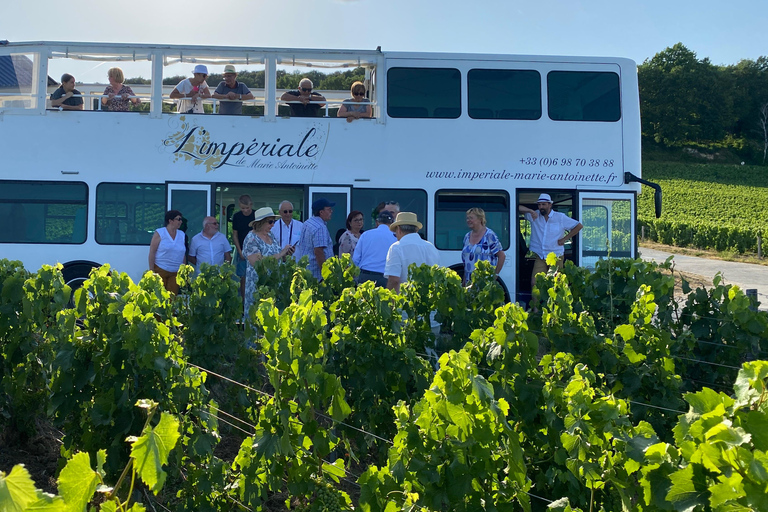 Epernay : Balade Privée en Bus Impérial à Travers les Vignes de ChampagneBalade Privée de 3 heures