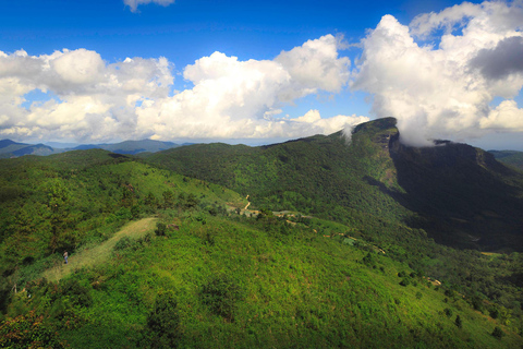 Doi Inthanon National Park & Hiking Kew Mae Pan Nature Trail