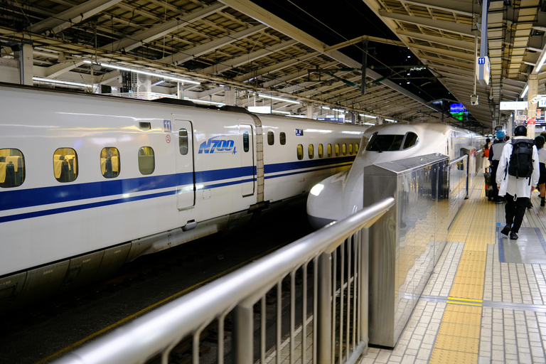 Osaka: Kyoto Day Trip by Shinkansen - Perfect for Cruises