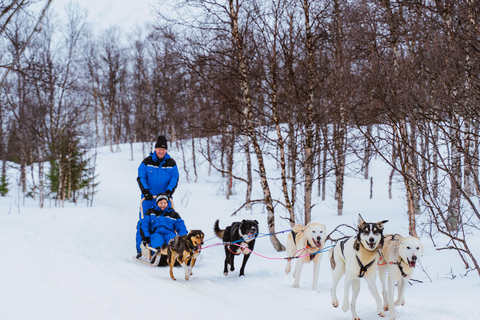 From Tromsø: Dog Sledding Experience with Transfer Dog Sledding Experience: Tour 1 [08:00]