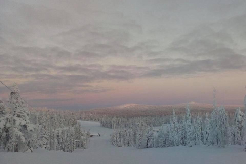 Ruka: Parque Nacional Riisitunturi com almoço.