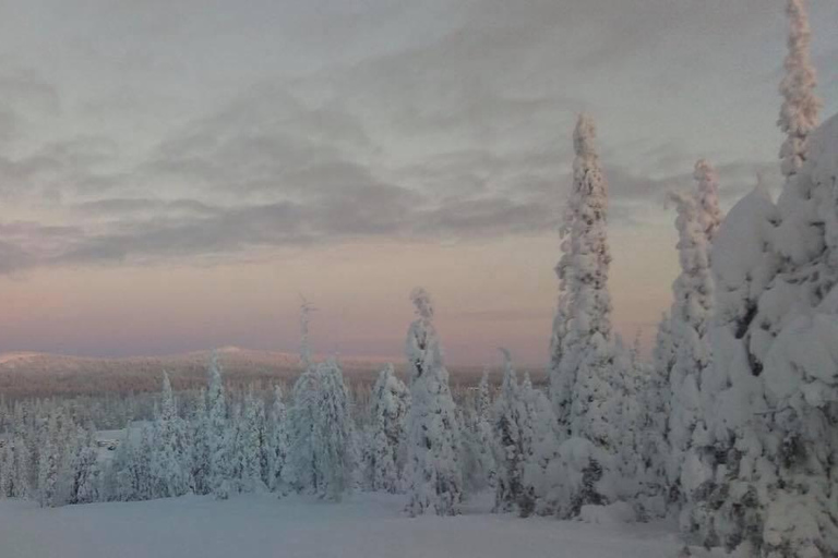 Ruka: Parco Nazionale di Riisitunturi con pranzo.