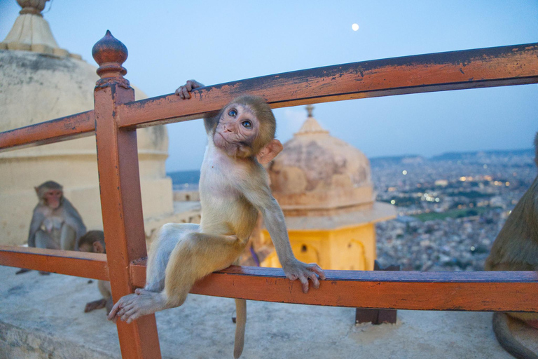 Jaipur 2-dniowa wycieczka: Odkryj najważniejsze atrakcje miasta i widoki zachodu słońcaJaipur 2-dniowa wycieczka samochodem z kierowcą i przewodnikiem