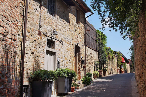 Vinci: Tour sulle orme di Leonardo e degustazione di vini