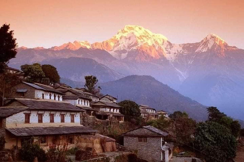 Pokhara : Trek de 3 jours à Astam, Dhampus et Australian CampPokhara : 3 jours de service