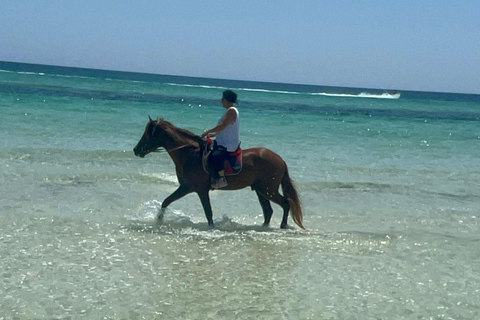 Djerba: Individual Horse Riding in the Blue Lagoon.