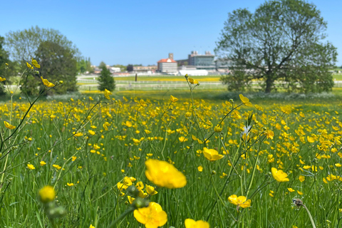 York: begeleide middeleeuwse wandeltocht in de Shambles