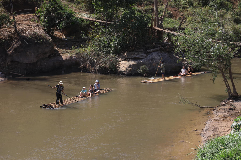 Chiang Mai: Viagem de 1 dia ao Santuário de Elefantes e Rafting com Almoço