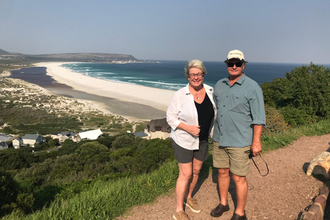 Cape Peninsula Private Tour