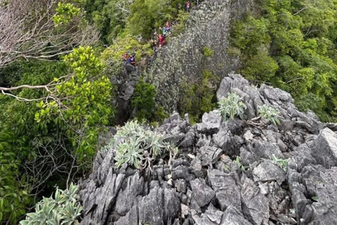 Langkawi: Kilim Geoforest Park Guided Jungle Trek