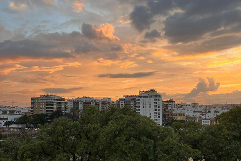 Siviglia: terrazza panoramica con vista mozzafiatoSiviglia: terrazza sul tetto con vista panoramica