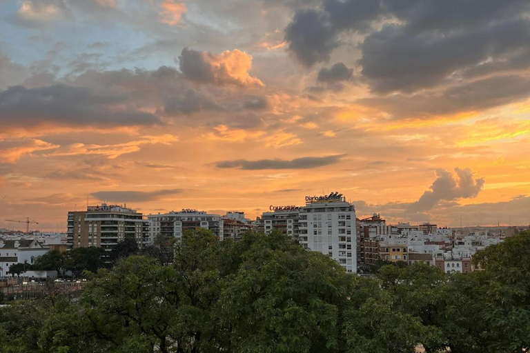 Siviglia: terrazza panoramica con vista mozzafiatoSiviglia: terrazza sul tetto con vista panoramica