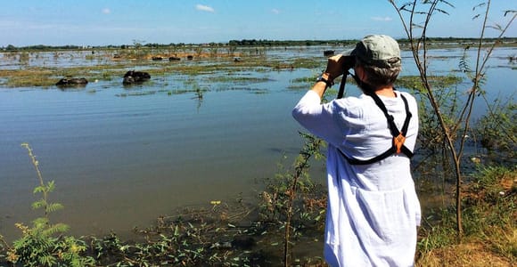 Bird Watching at Tonle Sap Forest and Lotus Farm Siem Reap