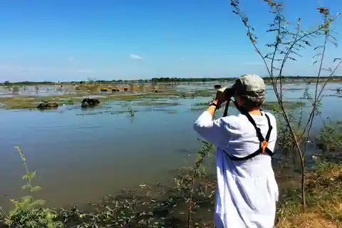 Observação de aves na floresta inundada de Tonle Sap a partir de Siem Reap