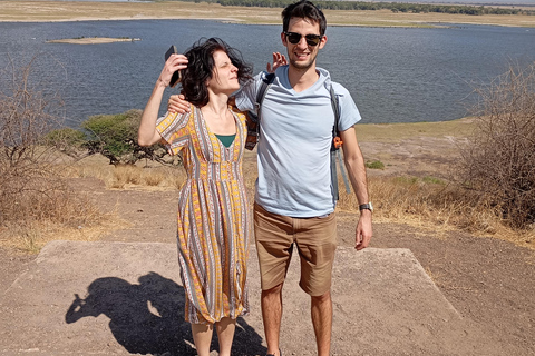 Nairobi: Meio dia de safari no Parque Nacional com guia